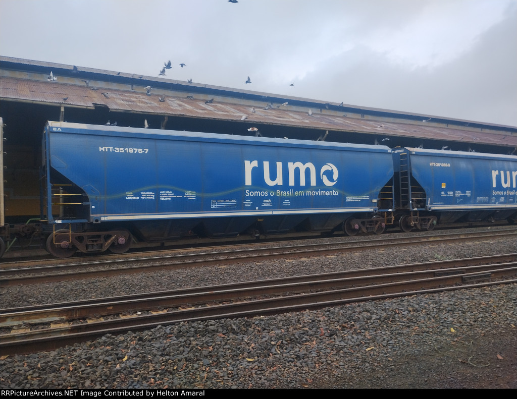 RUMO HTT-351976-7